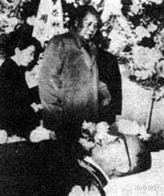 陳毅和毛 陳毅和毛